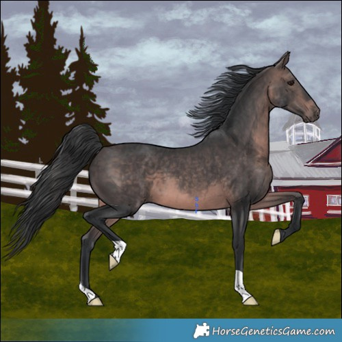 Horse Color:Platinum Brown 