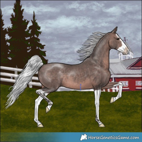 Horse Color:Platinum Silver Brown Splash 