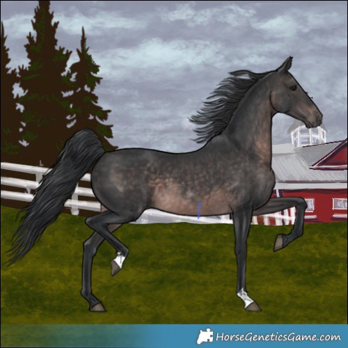 Horse Color:Platinum Brown 