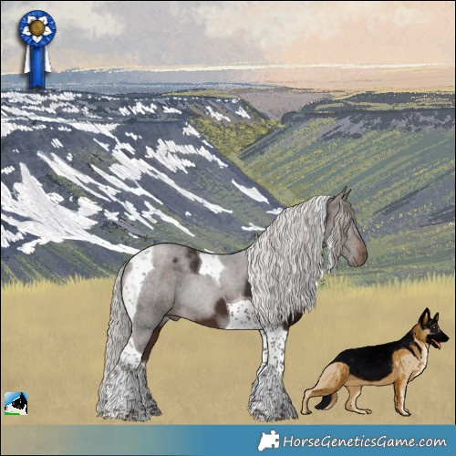 Horse Color:Silver Brown Tobiano 