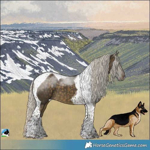 Horse Color:Silver Buckskin Tobiano 