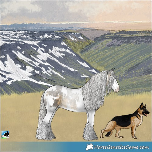 Horse Color:White Spotted Silver Buckskin Splash Rabicano 