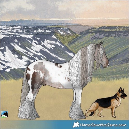 Horse Color:White Spotted Silver Brown Tobiano Rabicano