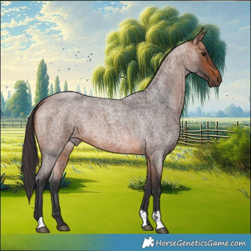 Horse Color:Bay Roan 