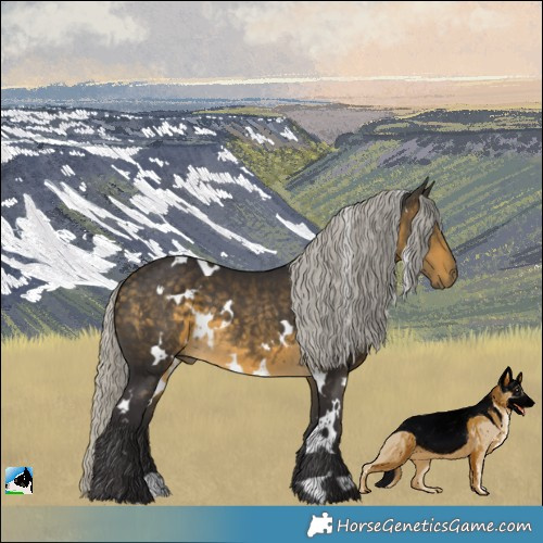 Horse Color:White Spotted Silver Buckskin