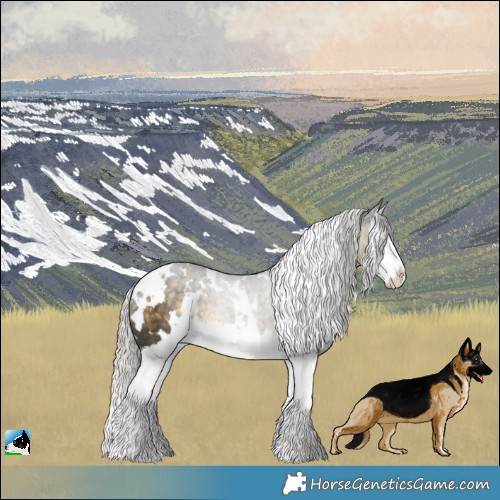 Horse Color:White Spotted Silver Buckskin Splash Rabicano 