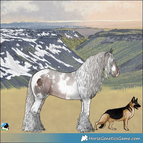 Horse Color:White Spotted Silver Brown Tobiano 