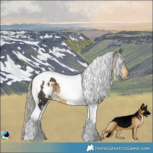 Horse Color:White Spotted Silver Buckskin Tobiano Rabicano 