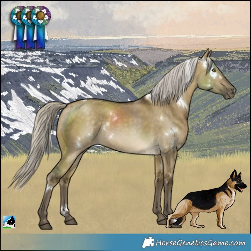 Horse Color:White Spotted Silver Buckskin Dun Varnish 