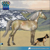 Horse Color:White Spotted Silver Buckskin Dun Varnish 