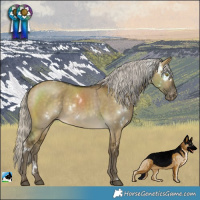 Horse Color:White Spotted Silver Buckskin Dun Varnish 