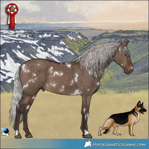 Horse Color:White Spotted Silver Brown Dun 