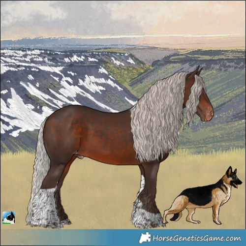 Horse Color:Silver Bay Tobiano Appaloosa 