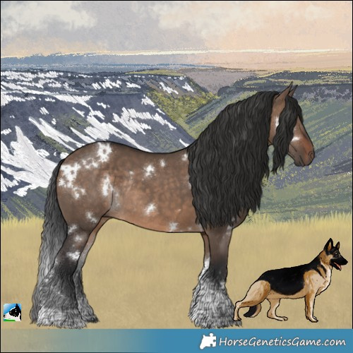 Horse Color:White Spotted Brown Dun Tobiano Rabicano 