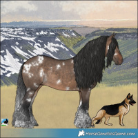 Horse Color:White Spotted Brown Dun Tobiano Rabicano 