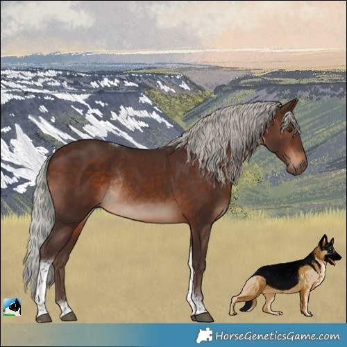 Horse Color:Silver Bay Tobiano Rabicano 