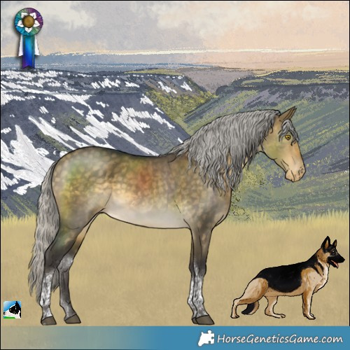 Horse Color:Silver Buckskin Dun Tobiano Varnish