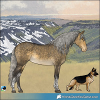 Horse Color:Silver Buckskin Dun Tobiano Varnish 