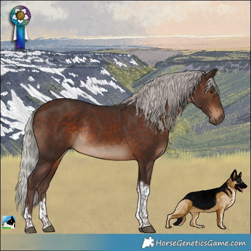 Horse Color:Silver Bay Tobiano Rabicano 