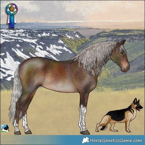 Horse Color:Silver Bay Tobiano Rabicano 
