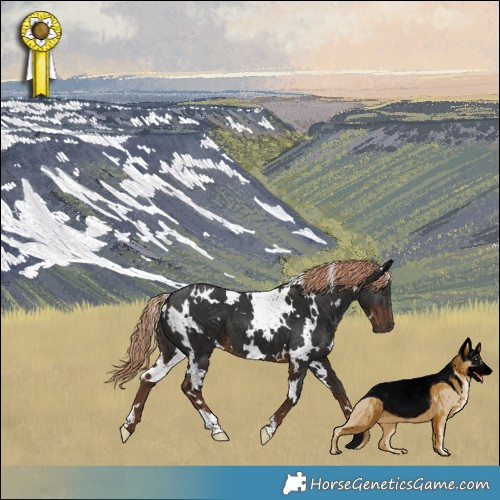 Horse Color:White Spotted Liver Chestnut 