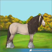 Horse Color:Amber Champagne Dun