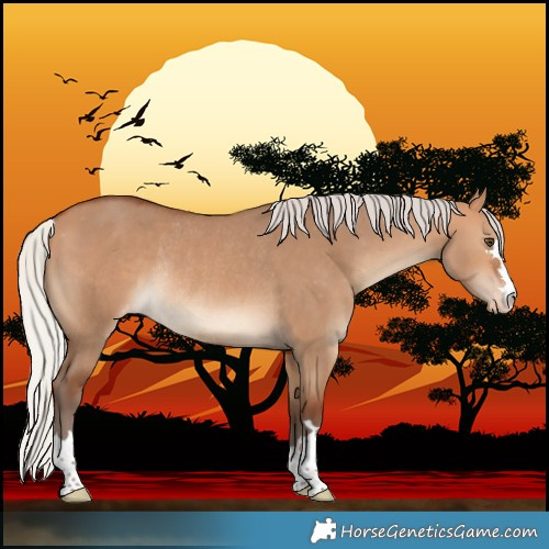 Horse Color:Silver Bay Dun Varnish Rabicano 