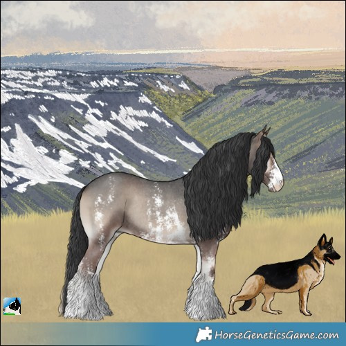 Horse Color:Blue Onyx Sabino Rabicano 