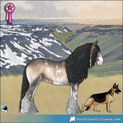 Horse Color:Brown Onyx Sabino Rabicano 