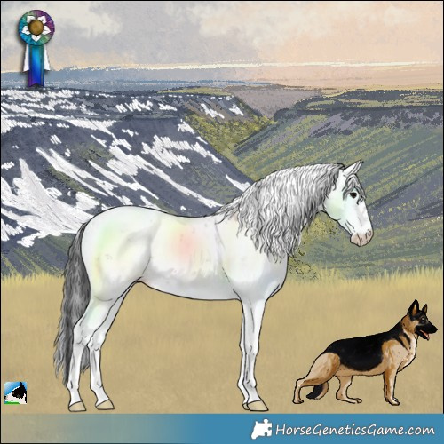 Horse Color:Brown Dun Sabino Rabicano 