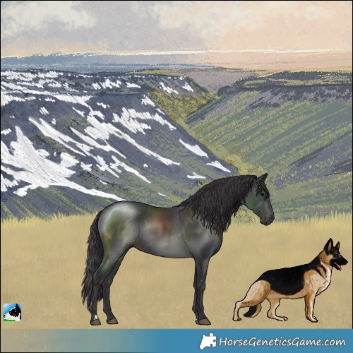 Horse Color:Smoky Black Rabicano 