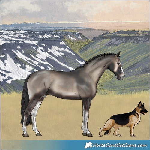 Horse Color:Blue Onyx Mushroom Rabicano 