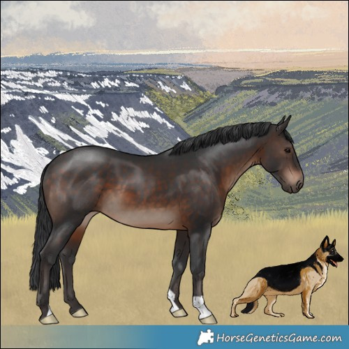 Horse Color:Brown Mushroom