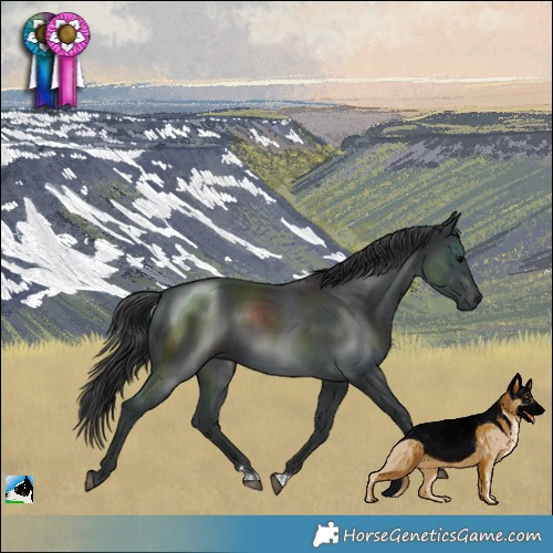 Horse Color:Platinum Black 
