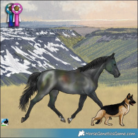 Horse Color:Platinum Black 