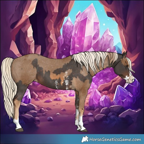 Horse Color:Pseudo Chocolate Palomino Sabino Splash Appaloosa  and Pseudo Chocolate Palomino Sabino Splash Appaloosa 