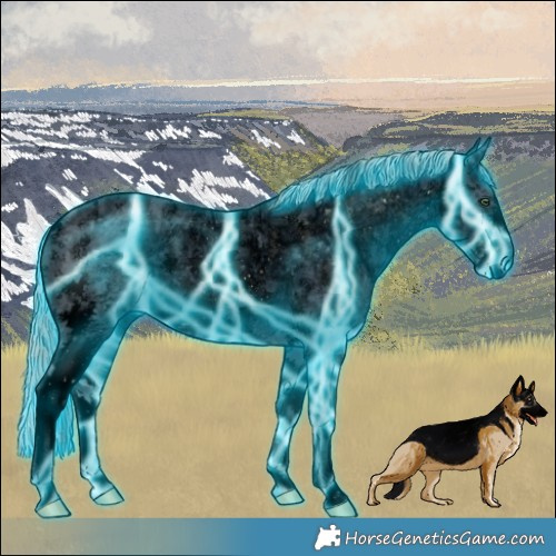 Horse Color:ERROR: UNKNOWN ANOMALY