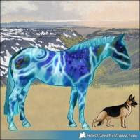 Horse Color:ERROR: UNKNOWN ANOMALY