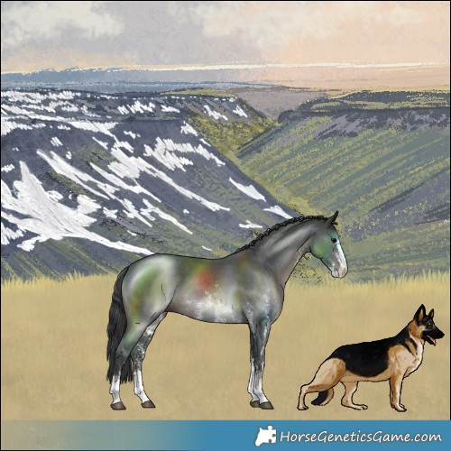 Horse Color:Black Sabino
