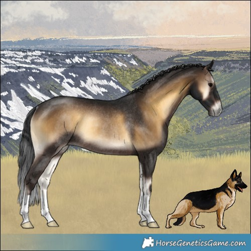 Horse Color:Gray Brown Onyx Varnish Rabicano