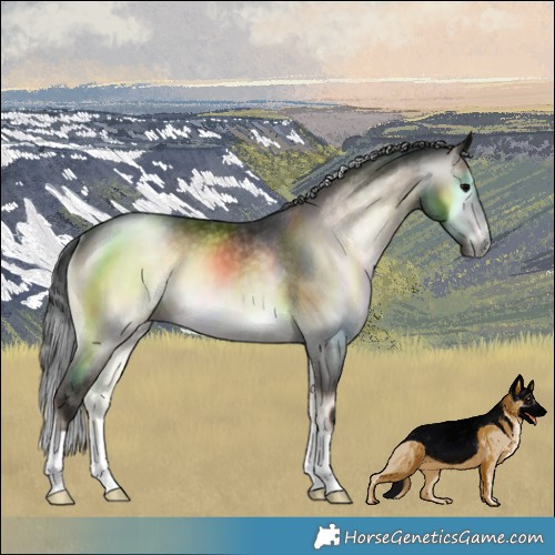 Horse Color:Gray Brown Onyx Varnish Rabicano 