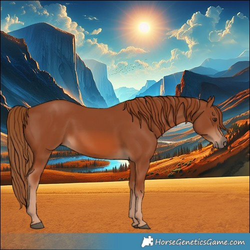 Horse Color:Chestnut 