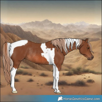 Horse Color:Chestnut Tobiano Rabicano