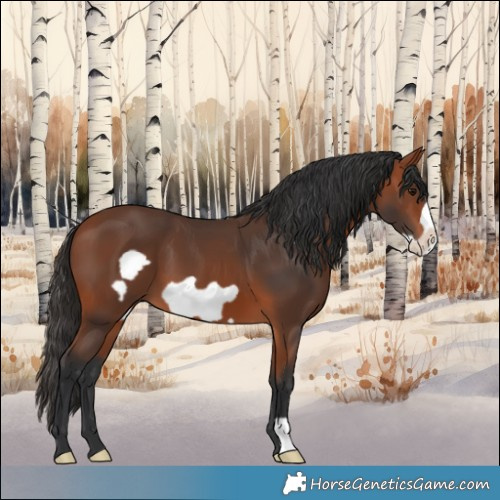 Horse Color:Bay Frame