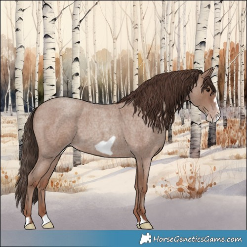 Horse Color:Classic Champagne Roan Frame 