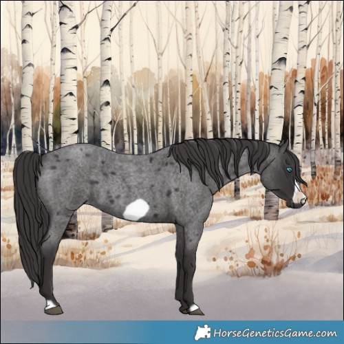 Horse Color:Smoky Blue Roan Frame 