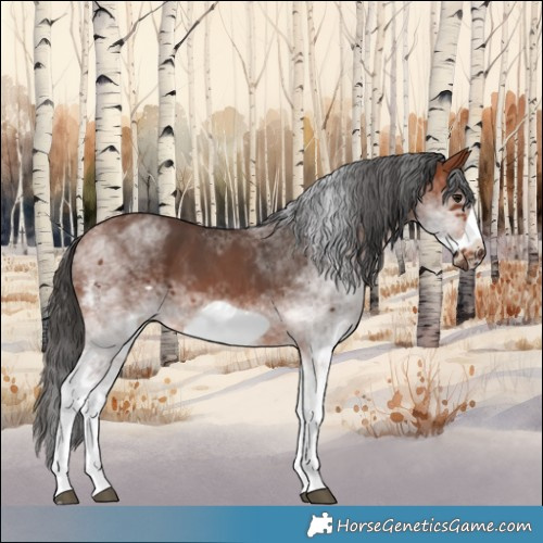 Horse Color:White Spotted Bay Frame 