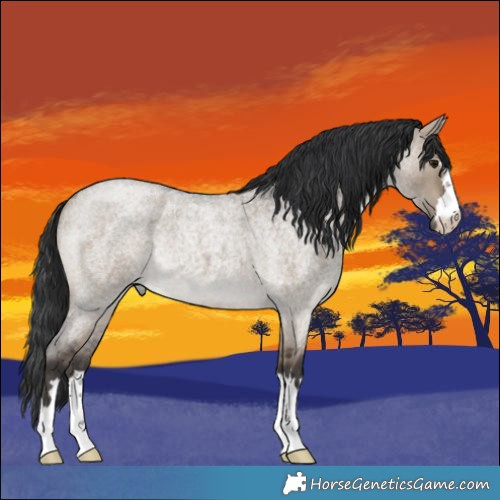 Horse Color:Brown Roan Dun 