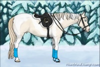Horse Color:Perlino Roan Tobiano 