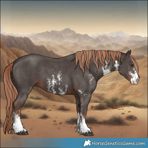 Horse Color:Liver Chestnut Sabino